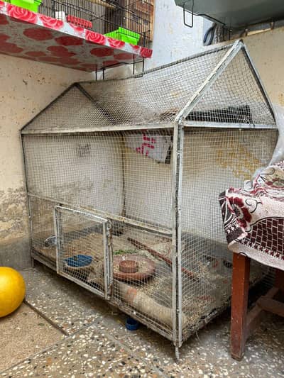 Cage For Birds