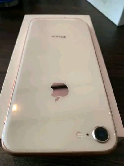 8plus 84 better health