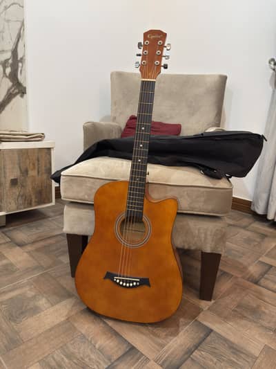 Beginner acoustic guitar 10/10