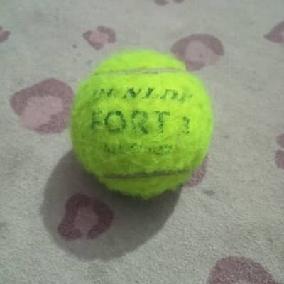 Cricket Ball