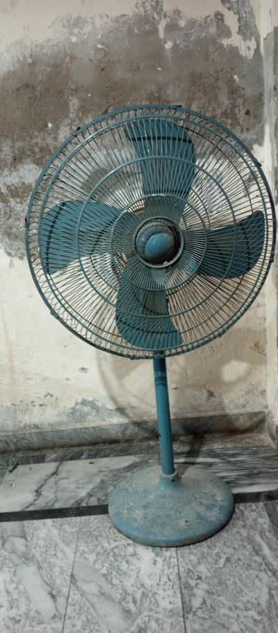 pedestal Fans