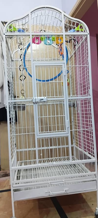 exotic birds imported cage