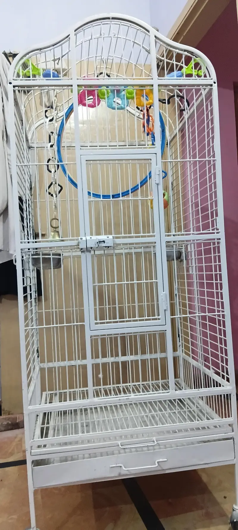exotic birds imported cage