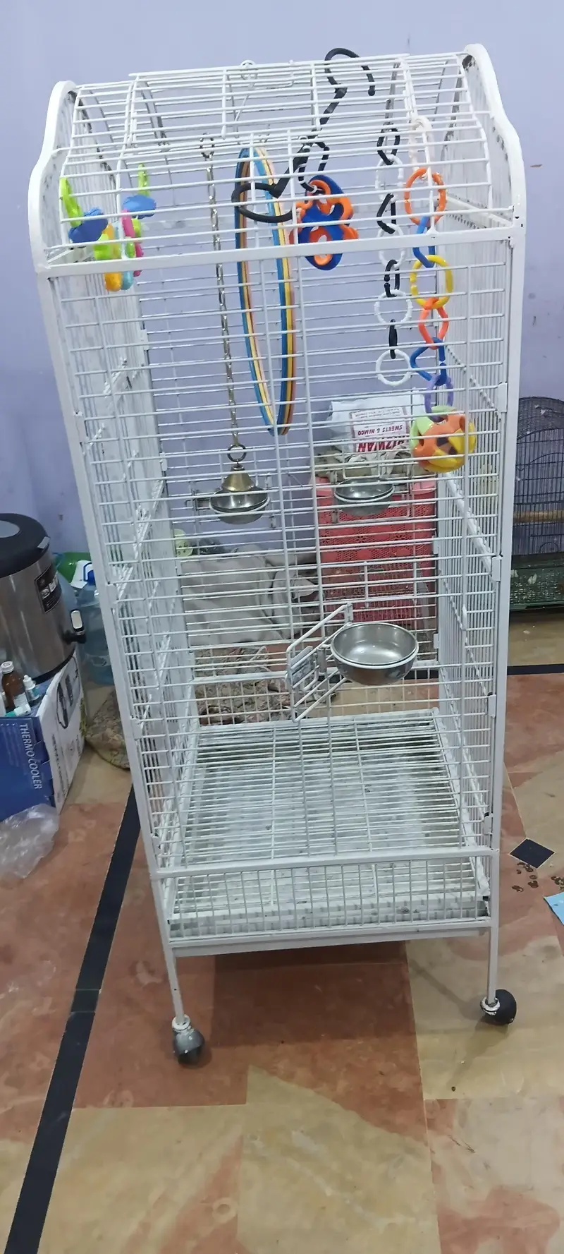 exotic birds imported cage — photo 3