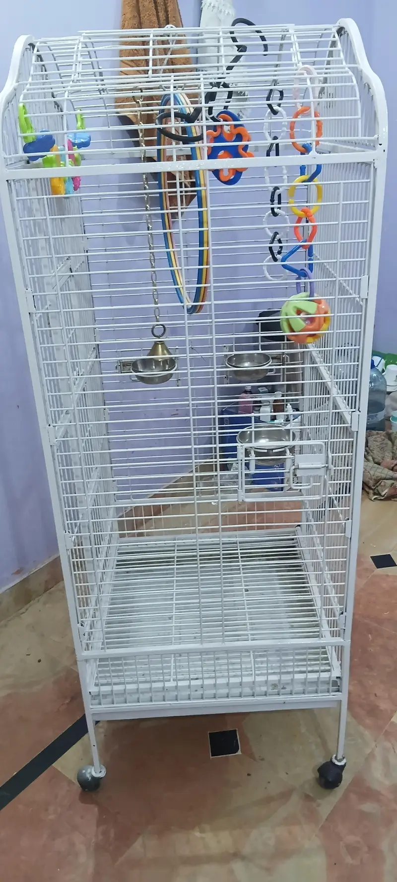 exotic birds imported cage — photo 8