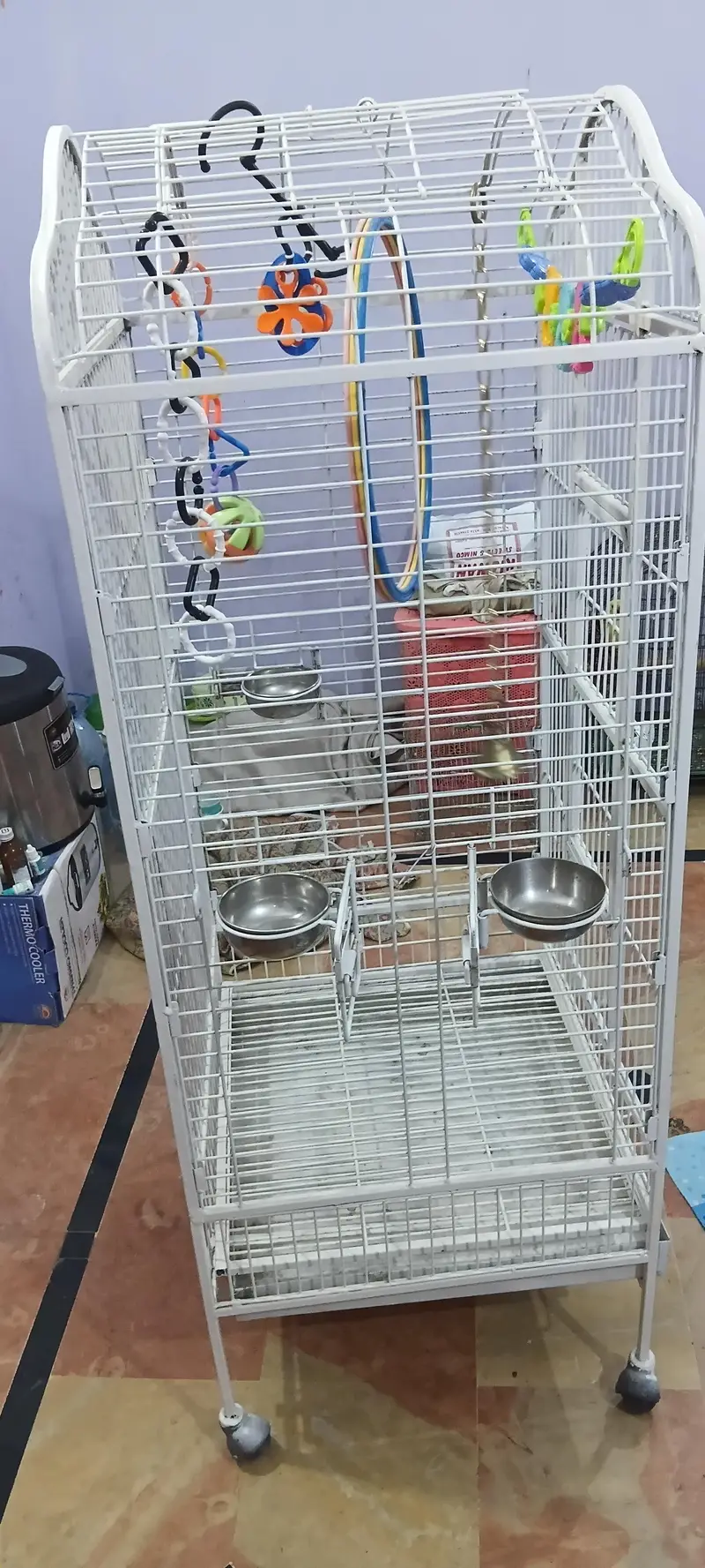 exotic birds imported cage — photo 9