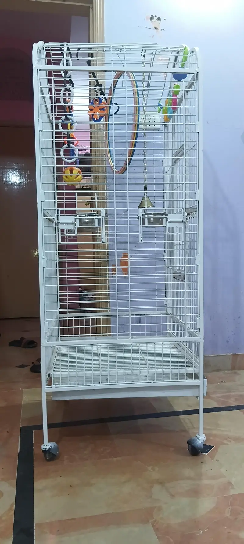 exotic birds imported cage — photo 10