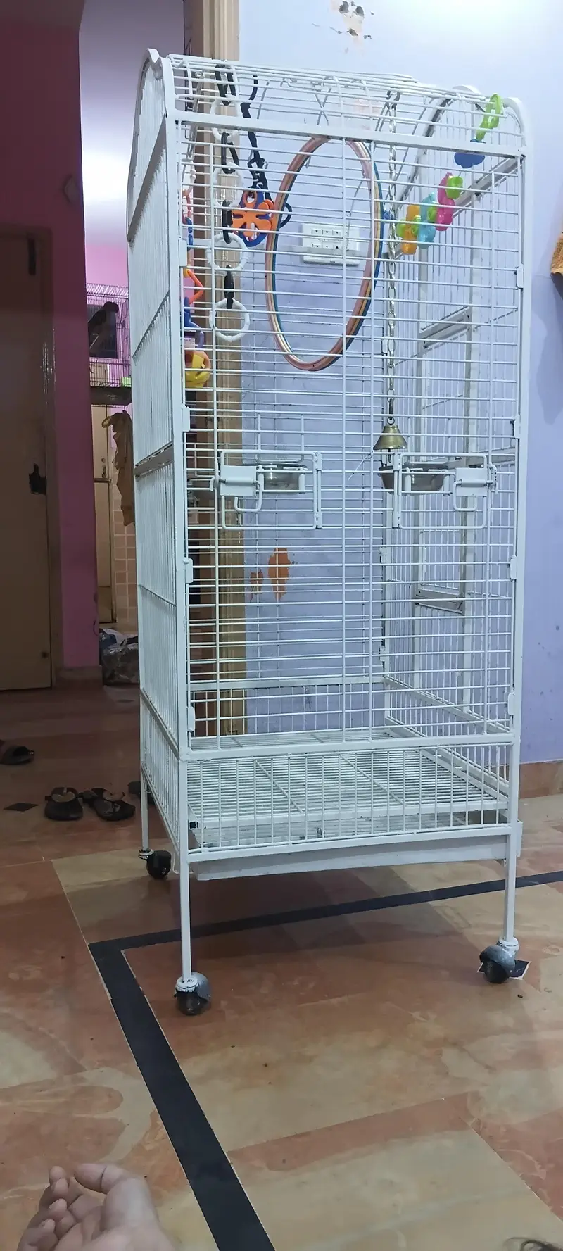 exotic birds imported cage — photo 11