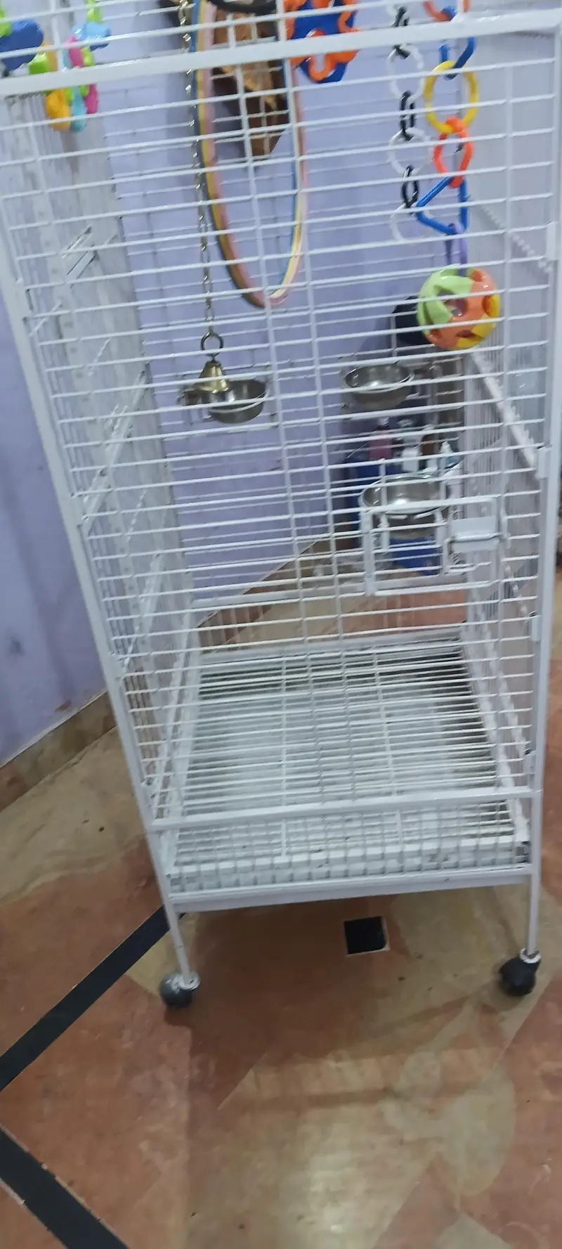 exotic birds imported cage — photo 12
