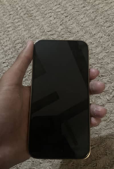 iPhone 13 pro