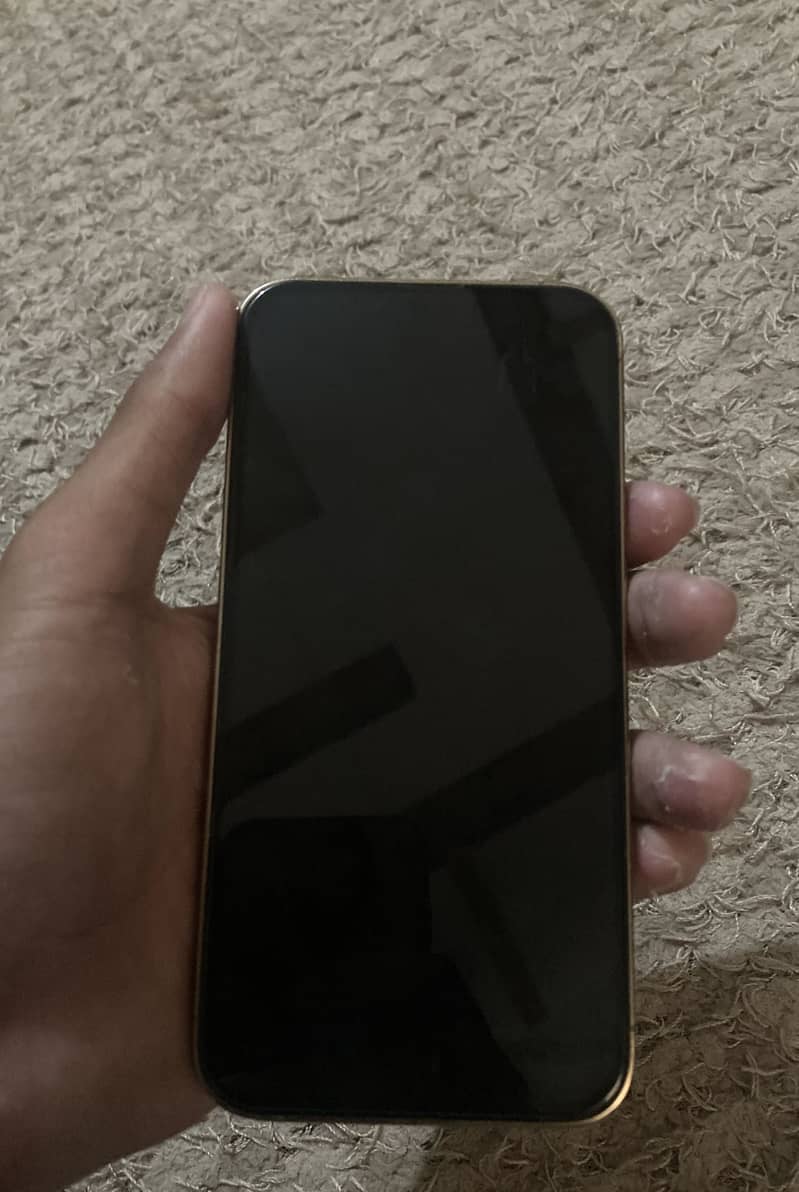 iPhone 13 pro 0