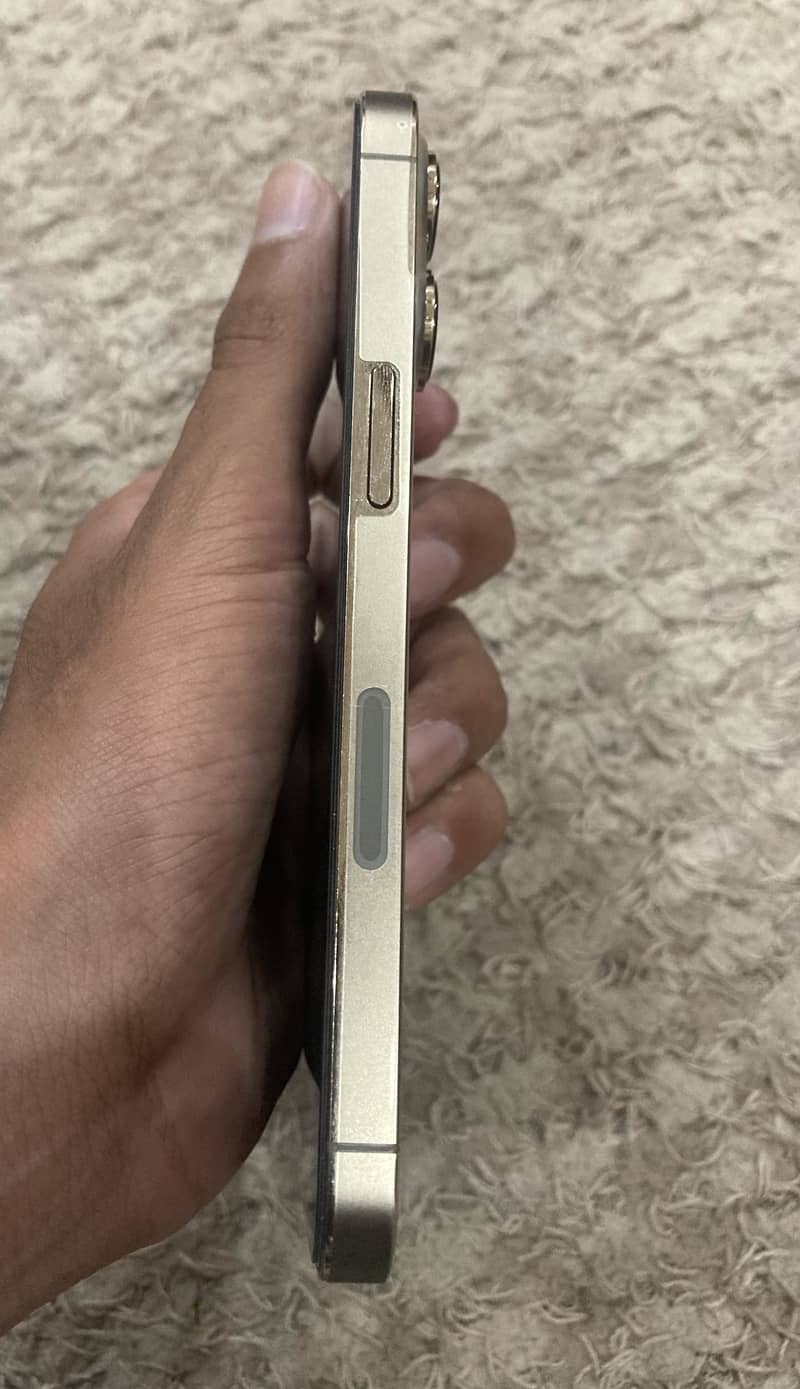 iPhone 13 pro 1