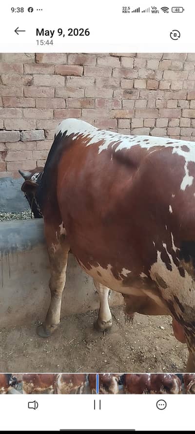 for sale demand 28000000