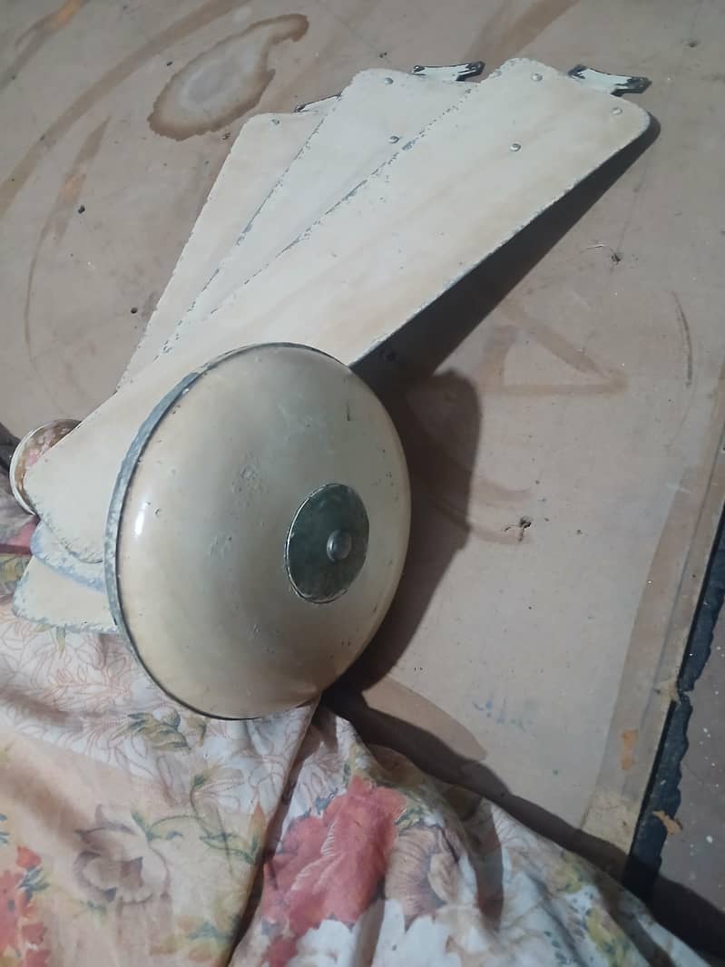 ceiling fan 1