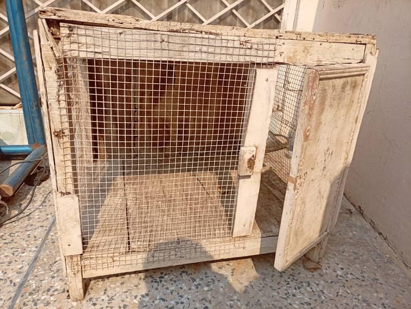 HEN CAGE 0