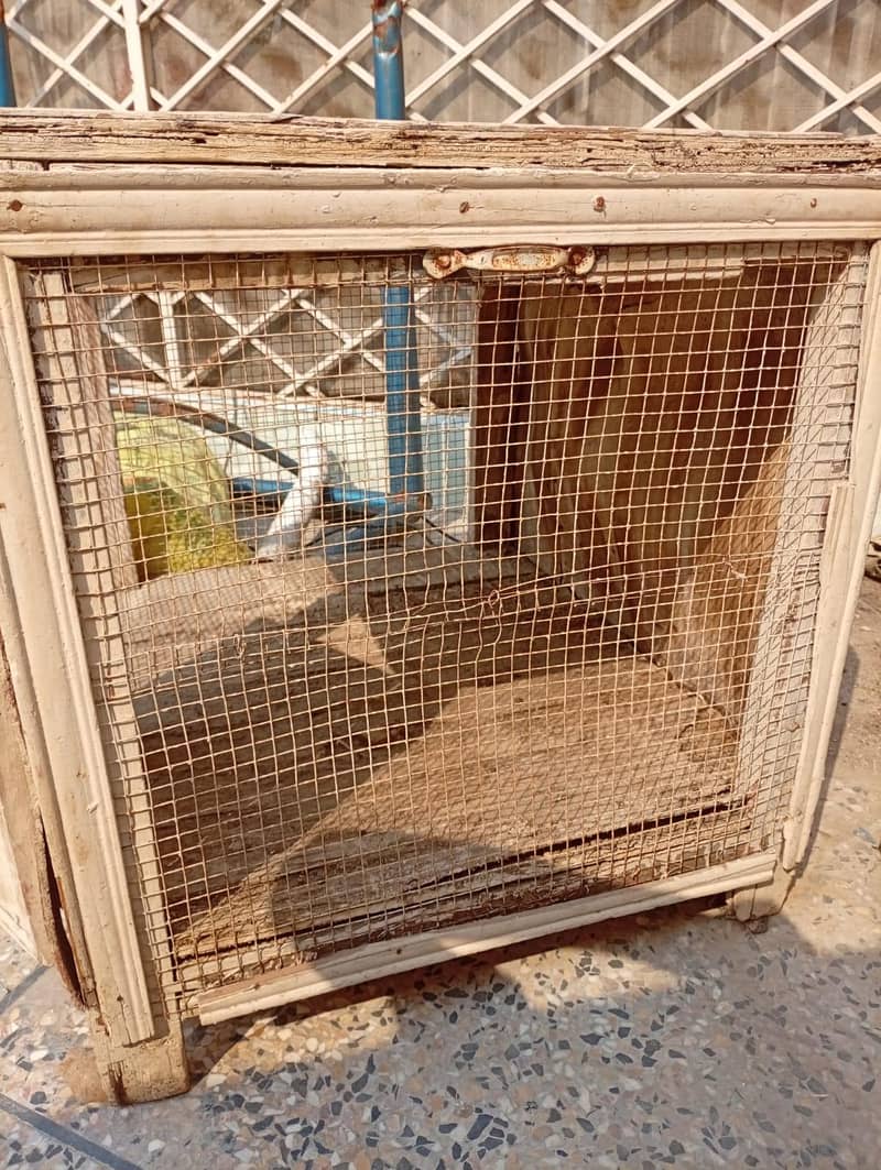 HEN CAGE 1