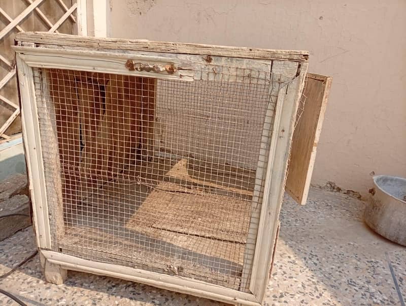 HEN CAGE 3