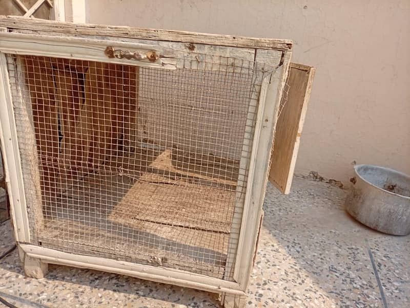 HEN CAGE 4