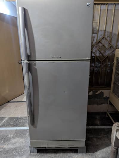 PEL Refrigerator Jumbo size