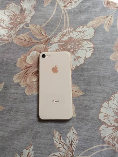 iphone 8 pta approved
