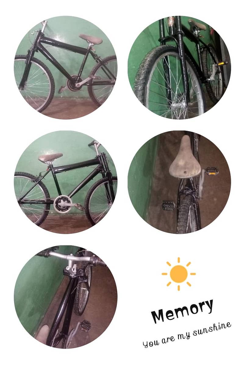 mountain bicycle 5