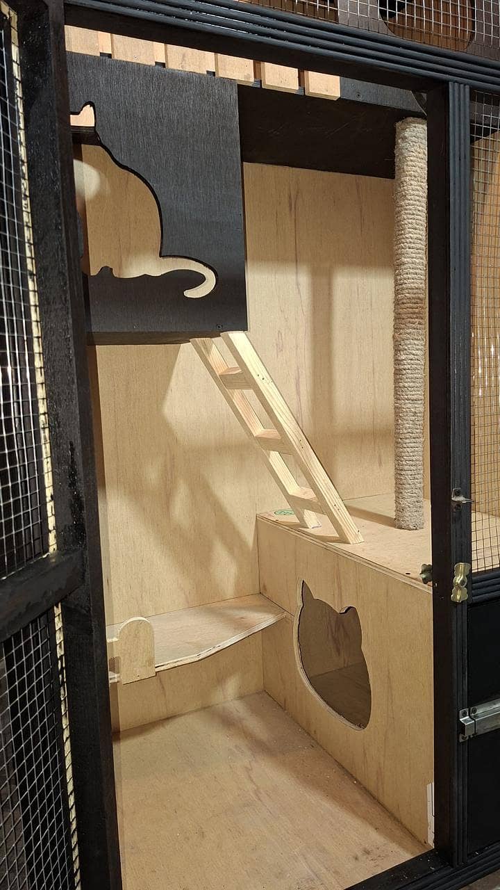 new cage 6