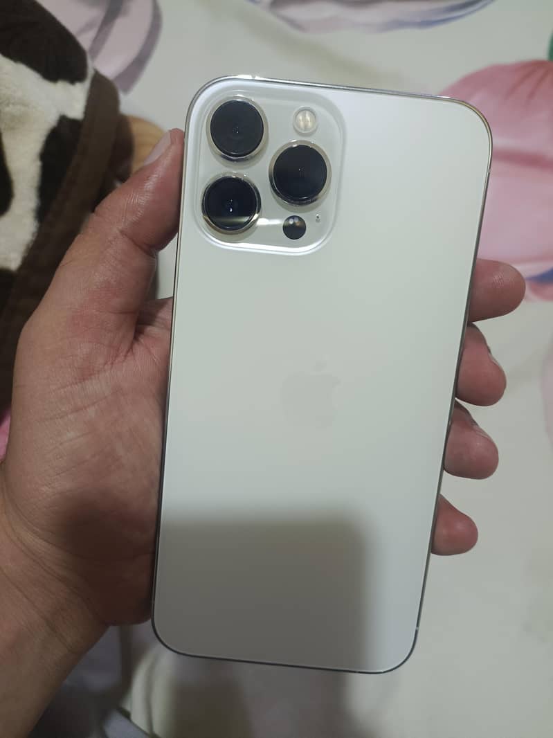 iPhone 13 Pro Max 0