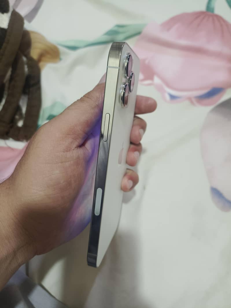 iPhone 13 Pro Max 2