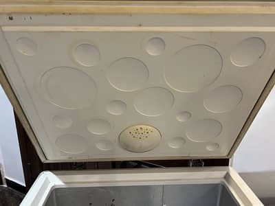 Hair freezer  for sale