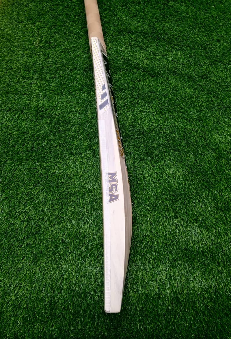 MAA Player Edition 2