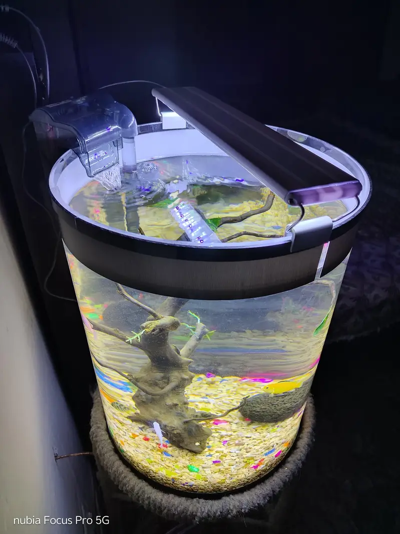 Fish Aquarium — photo 2
