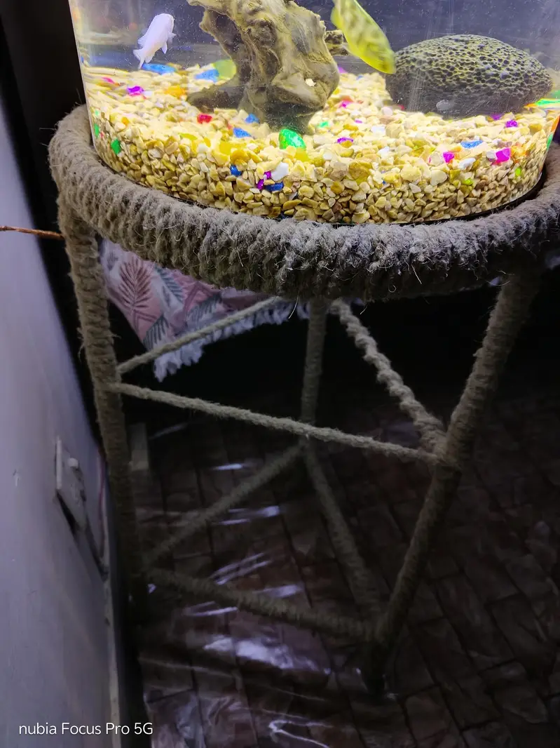 Fish Aquarium — photo 3