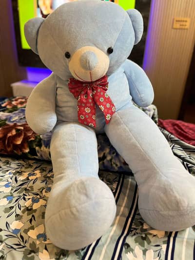 cute teddy bear
