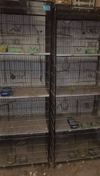 1 season used Lovebirds cage