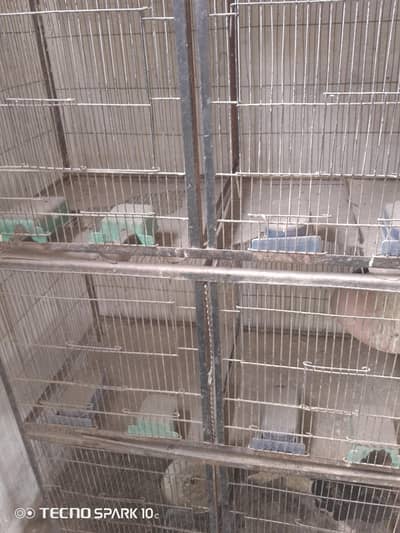 cage for sale