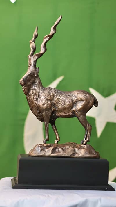Pakistani Souvenirs Markhore