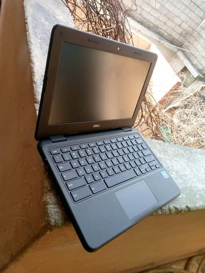 dell Chromebook 3100