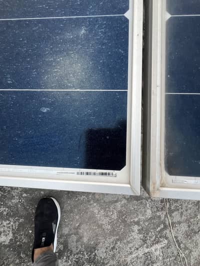Longi himo x6 585 orignal plates