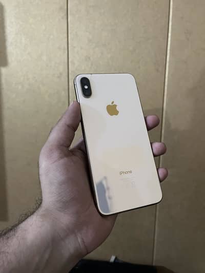 Xs max 512Gb