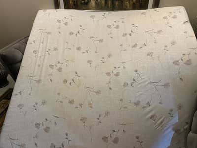 Moltyfoam For Sale