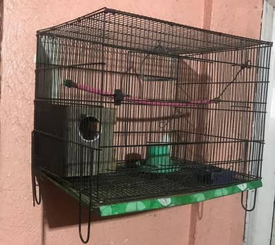 Cage pinjra penjra
