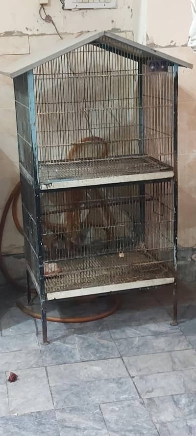 parot cage sale urgently