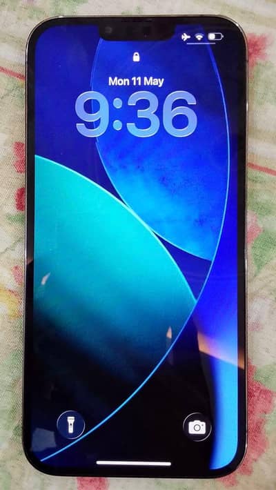 iPhone 13 pro max