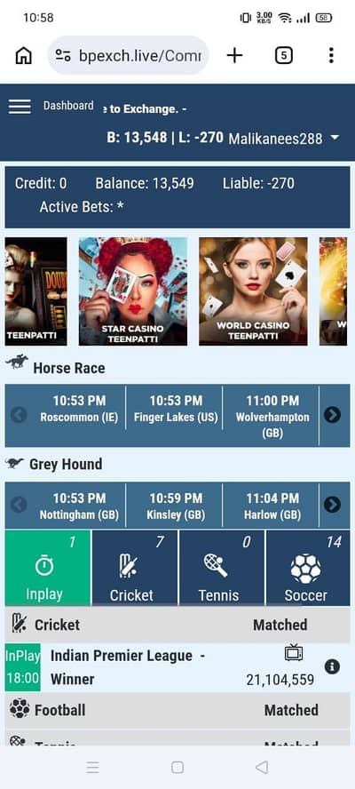 Betpro Exchange  Working