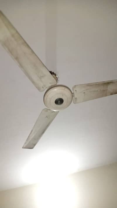 Wahid ceiling fan for sale