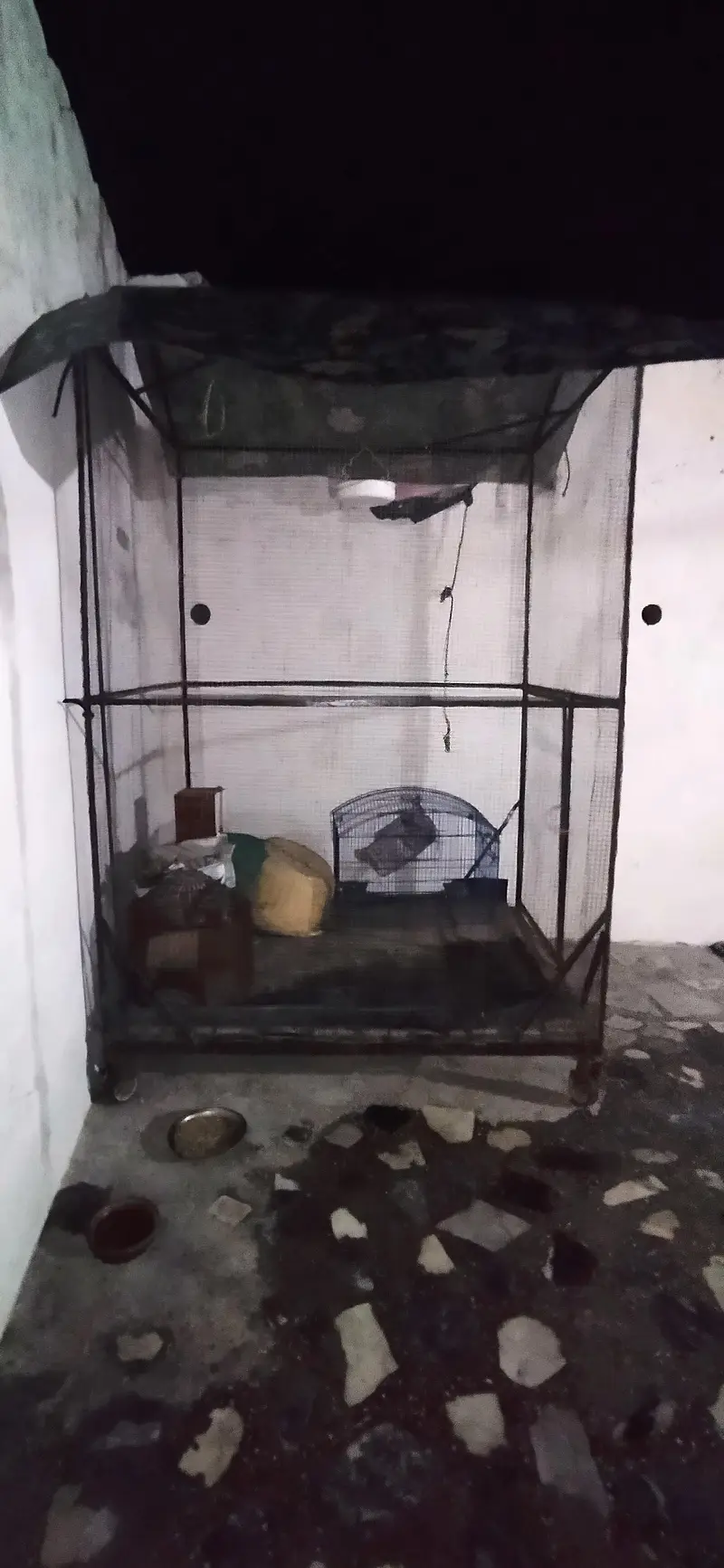 GGBJI