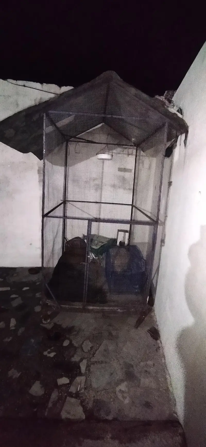 GGBJI — photo 2