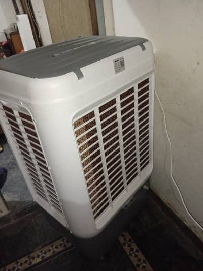 Royal Air cooler