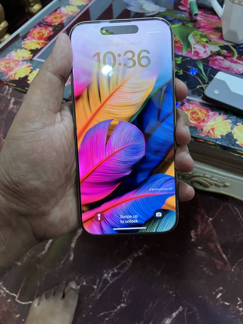 16 pro max 3