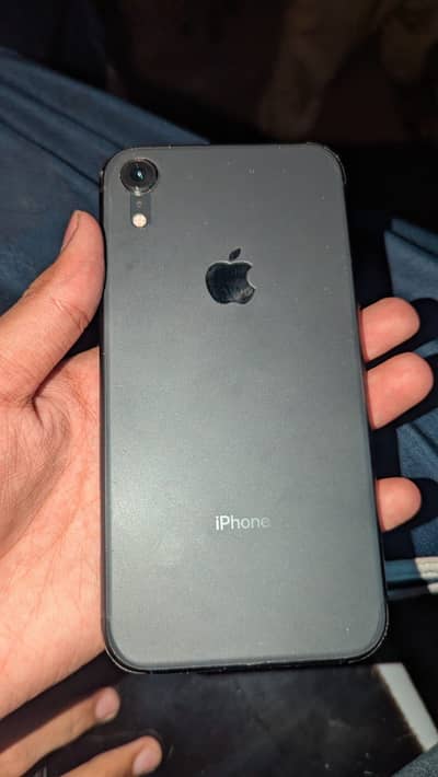 -IPHONE XR